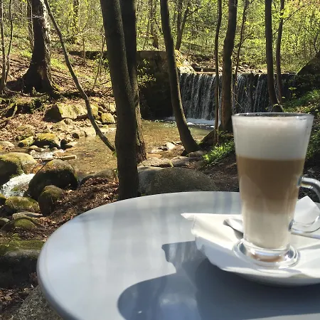 Dwa Potoki 3* Карпач